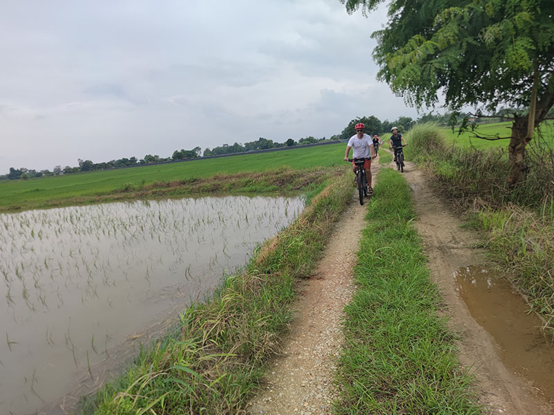 Golden Triangle Cycling Tour